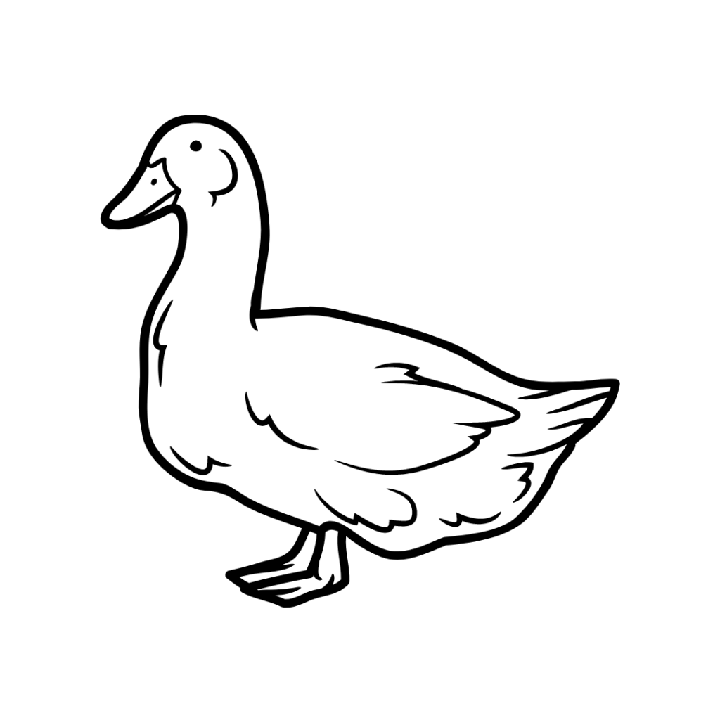 Duck Eggs 1 Dozen John Boy s Farm Duck Eggs 1 Dozen John Boy s Farm