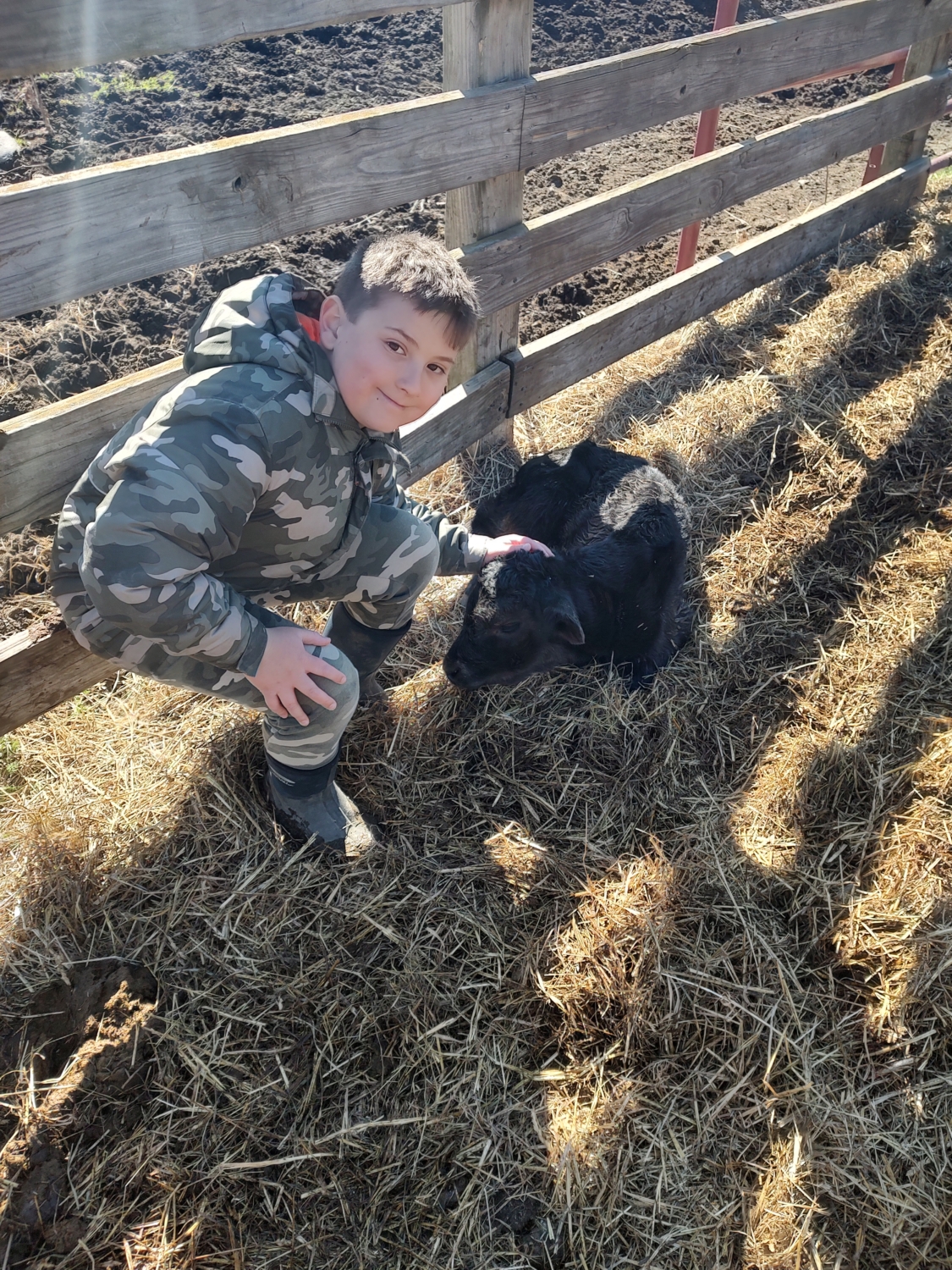 About Us John Boy's Farm